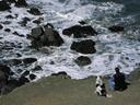 Man and his dog looking down at the waves from the cliffs edge.